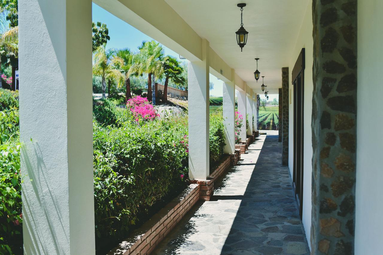 Hacienda Guadalupe Hotel Dış mekan fotoğraf