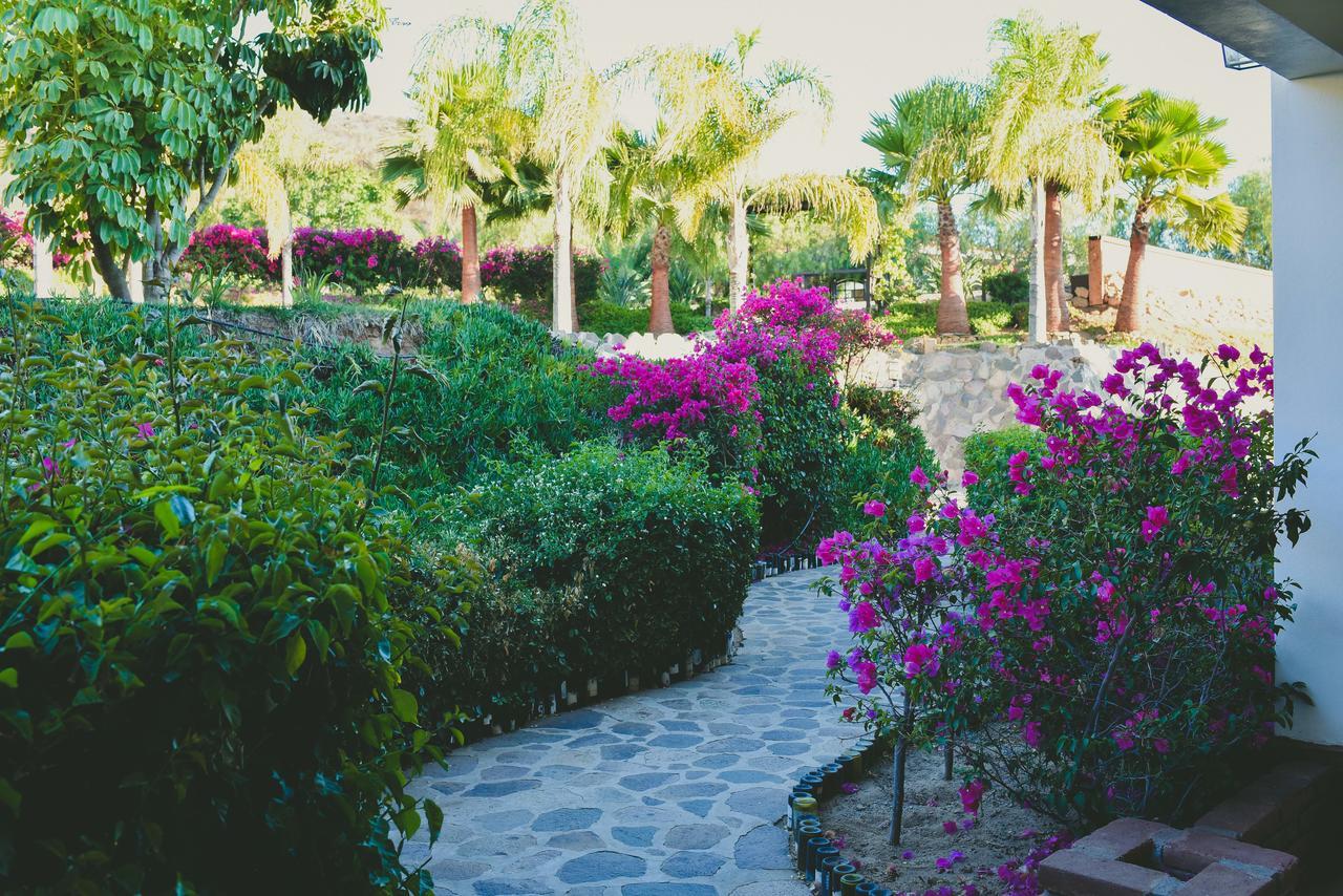 Hacienda Guadalupe Hotel Dış mekan fotoğraf
