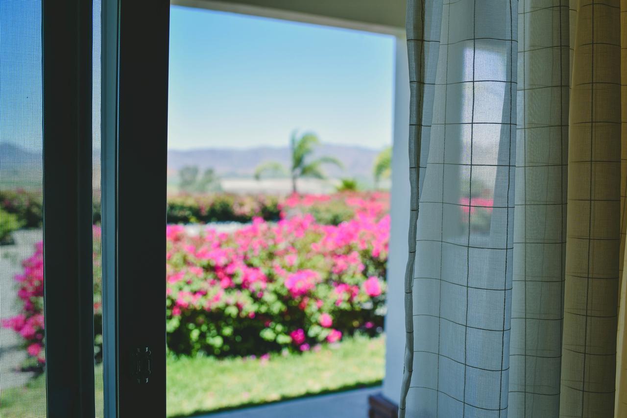 Hacienda Guadalupe Hotel Dış mekan fotoğraf